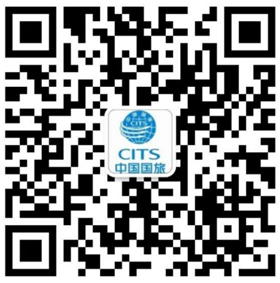 新疆云景网络科技有限公司